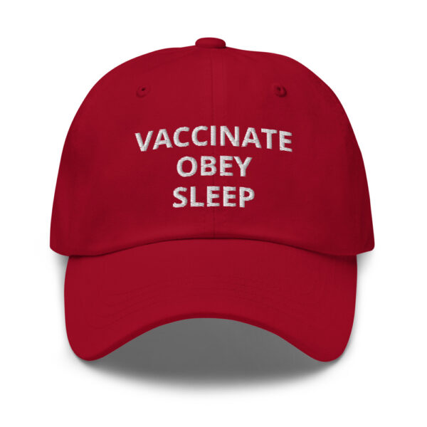 THEY LIVE ~ VACCINATE OBEY SLEEP ~ Dad Hat - Image 3