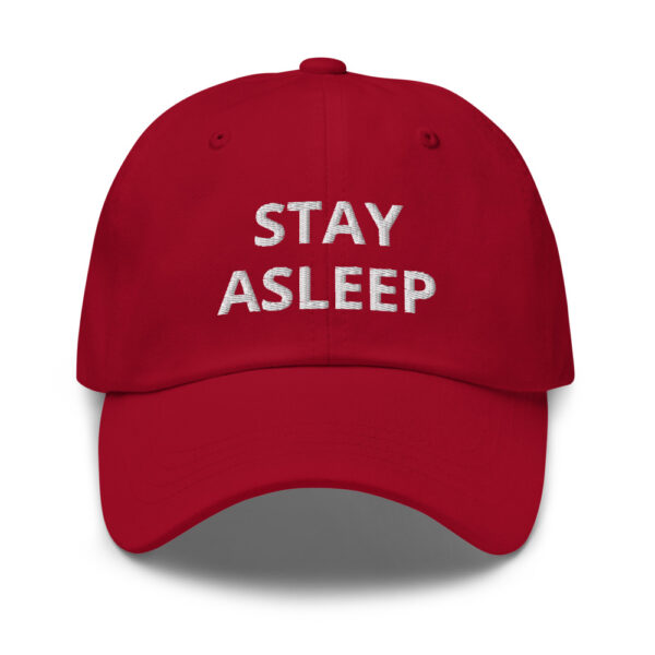 THEY LIVE ~ STAY ASLEEP ~ Dad Hat - Image 3