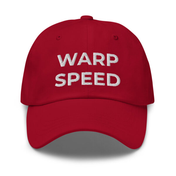 WARP SPEED ~ Dad Hat